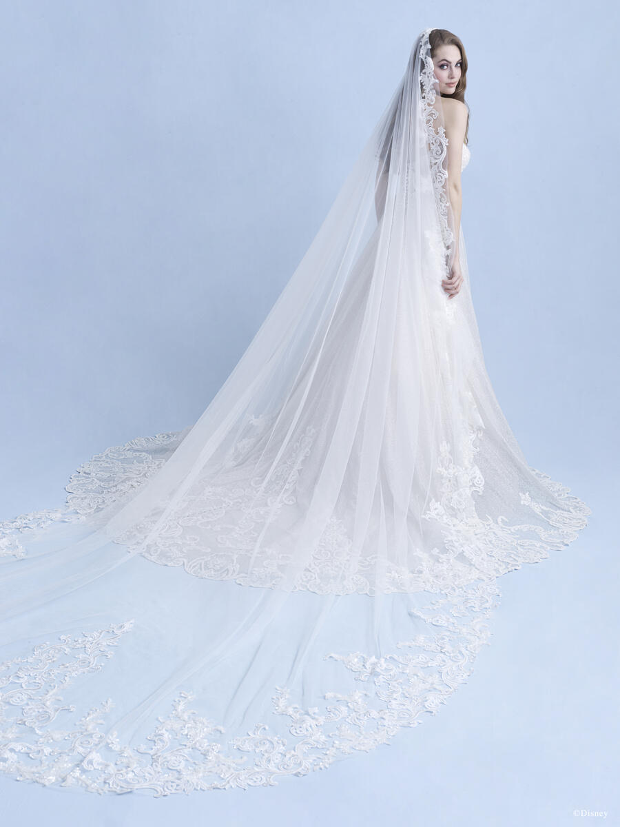 Disney Fairy Tale Weddings Style Number D293L - 5