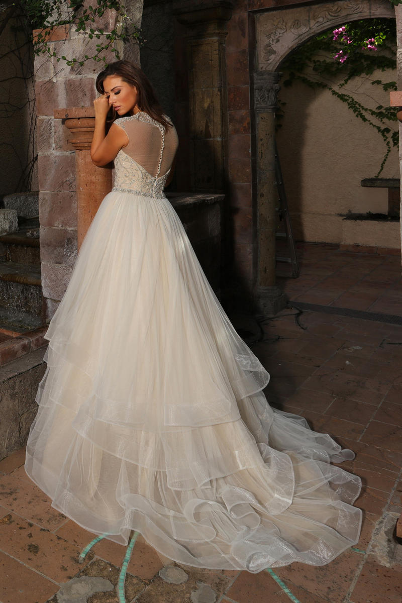 Cristiano Lucci Style Number 13076 - 4