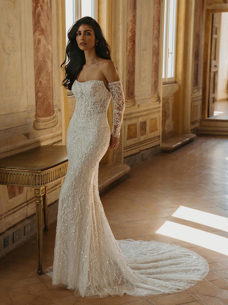 Pen-Liv Style Number Delaney-D - 1