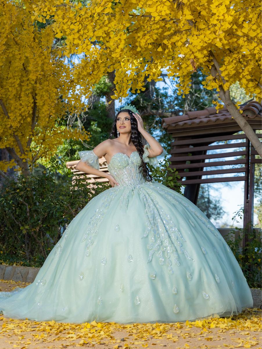 Quinceanera Style Number 26096 - 1