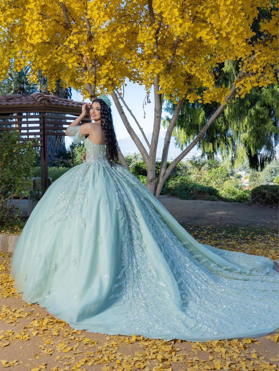 Quinceanera Style Number 26096 - 2