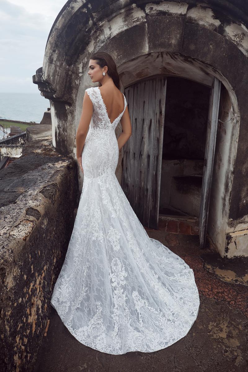 Calla Blanche Style Number 123118 - 3