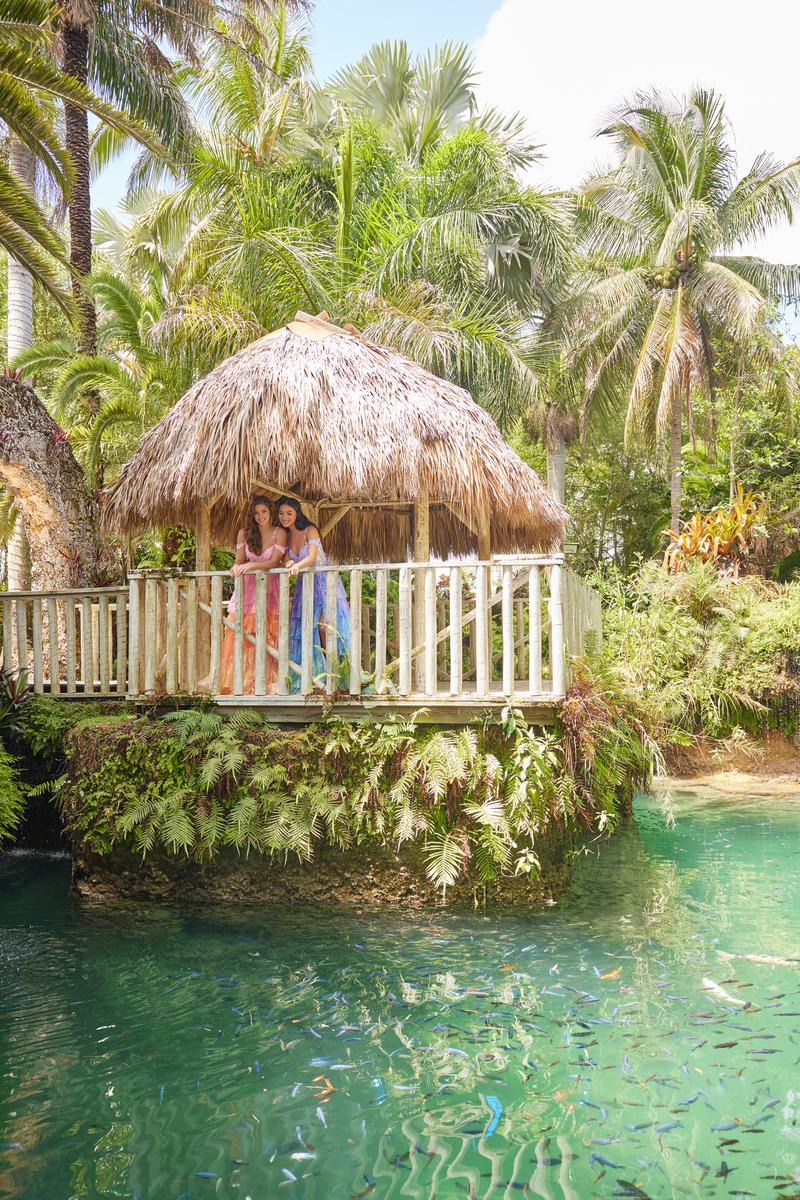 Ellie Wilde Style Number EW36037 - 5