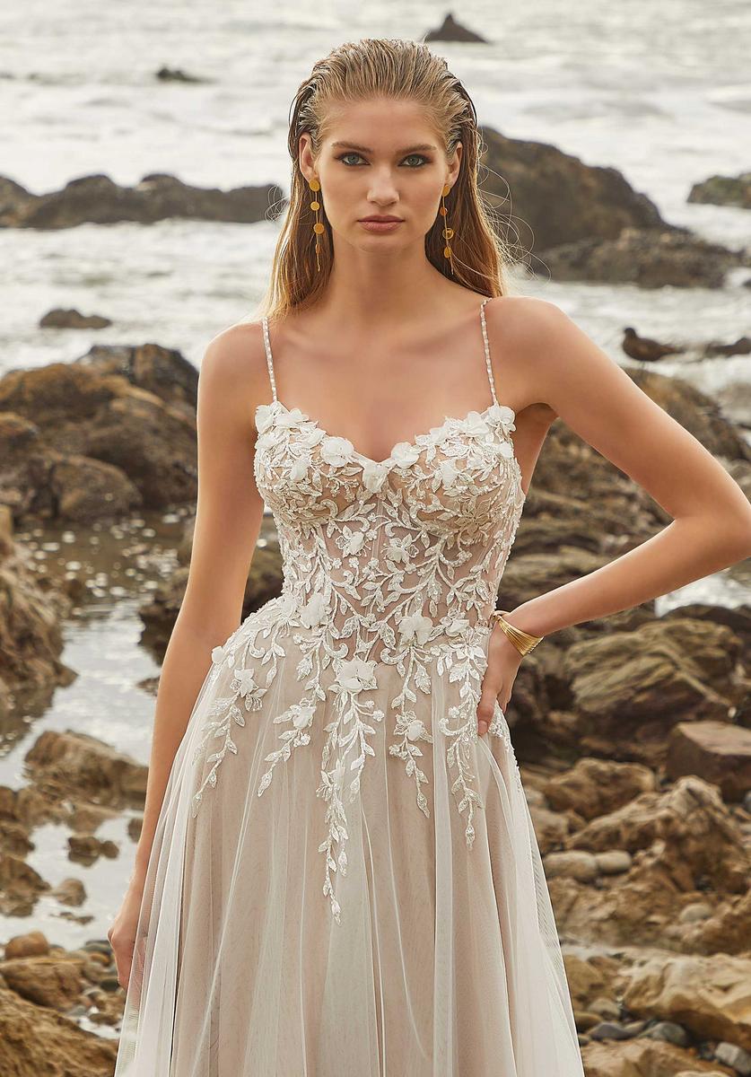 Amy and Eve Style Number 15024 - 3