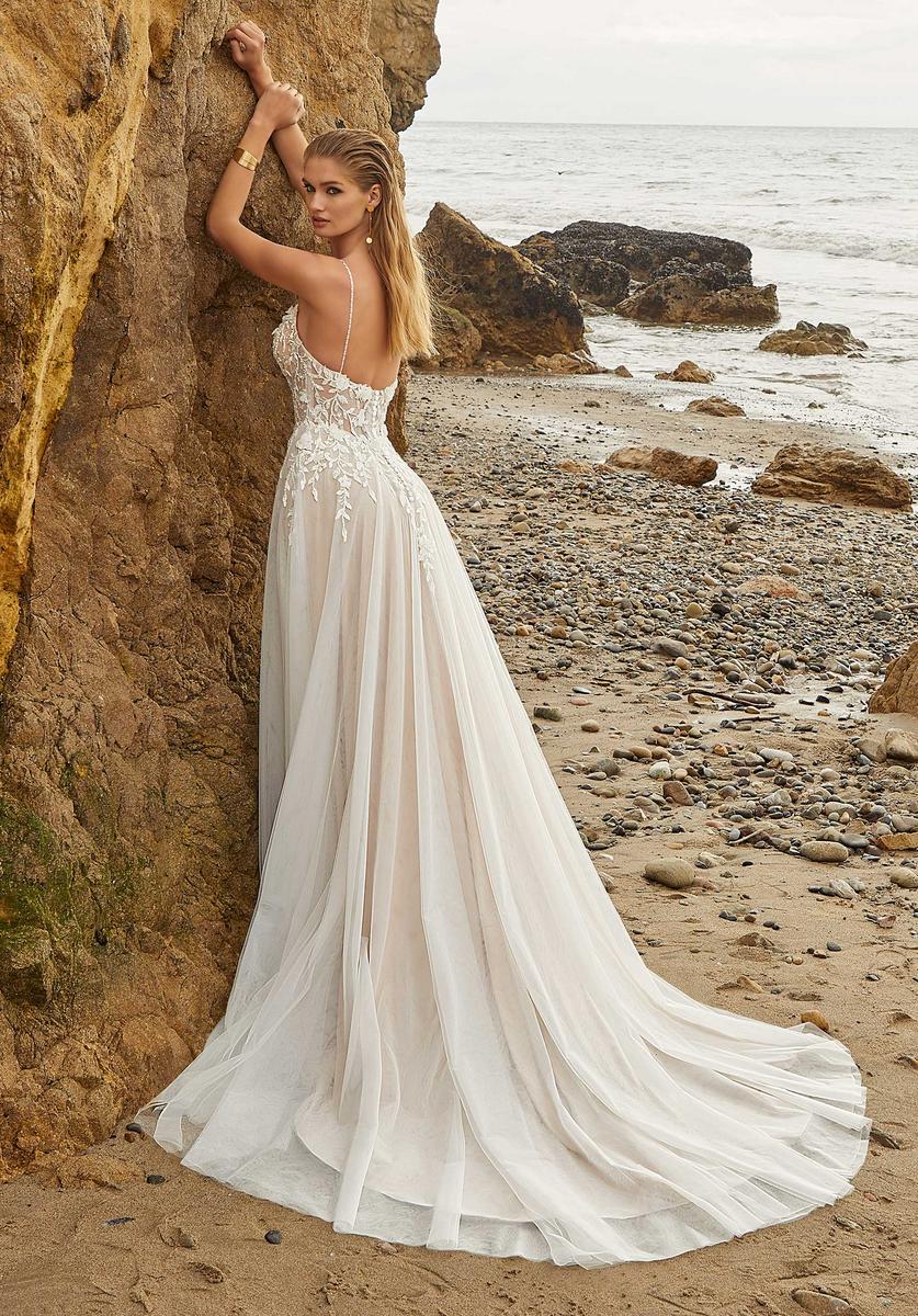 Amy and Eve Style Number 15024 - 2