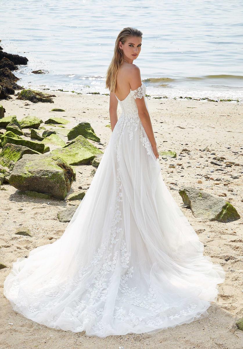 Amy and Eve Style Number 15047 - 2