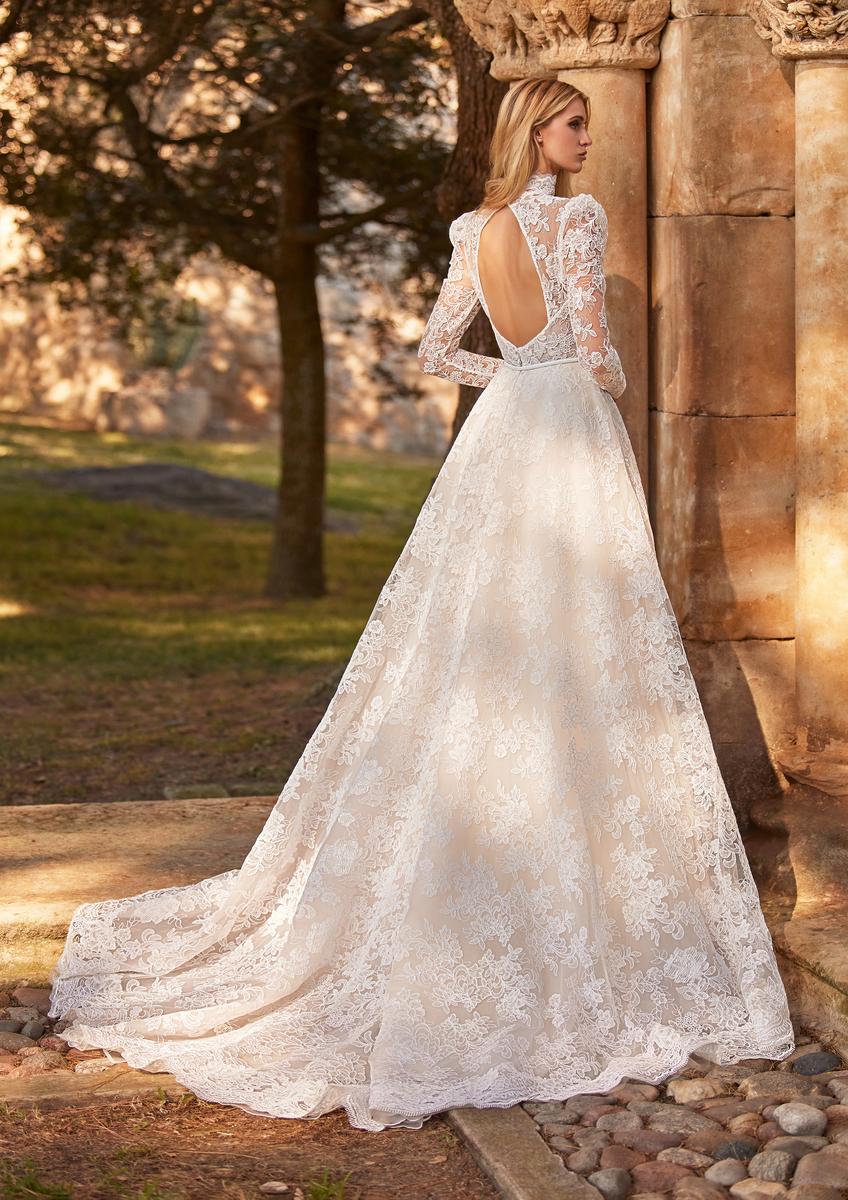 Pronovias Style Number AMANI - 2