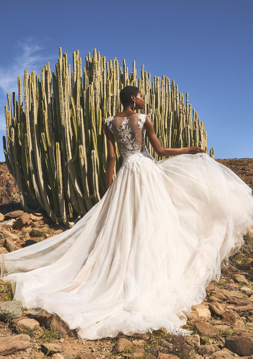 Pronovias Style Number DOOLIN - 2