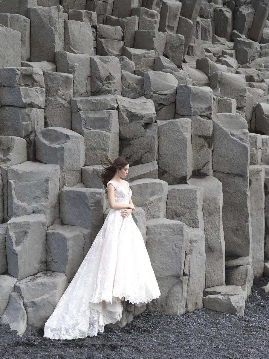 Allure Couture Style Number C461 - 5