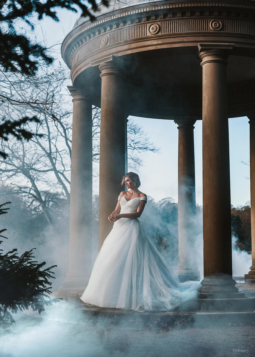 Disney Fairy Tale Weddings Style Number D283 - 11