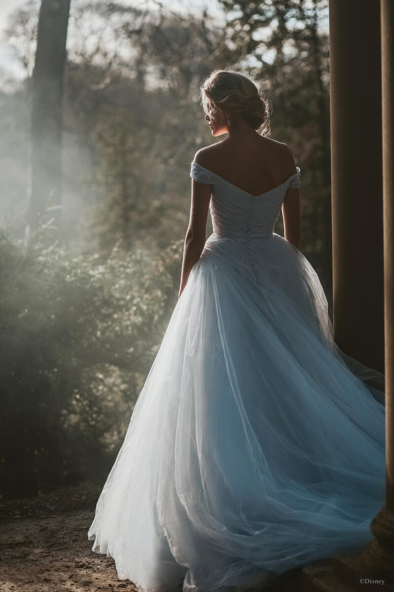 Disney Fairy Tale Weddings Style Number D283 - 10