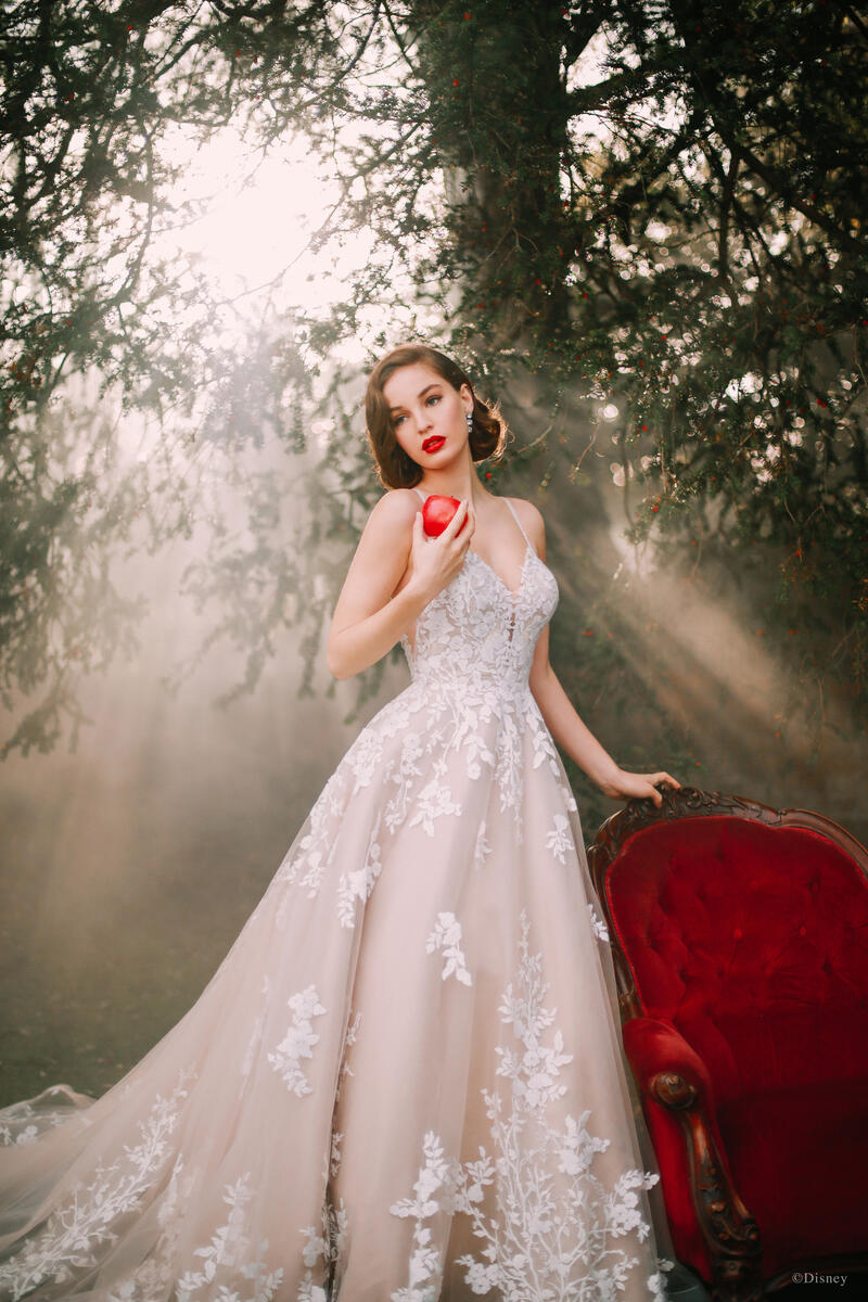 Disney Fairy Tale Weddings Style Number D287 - 5