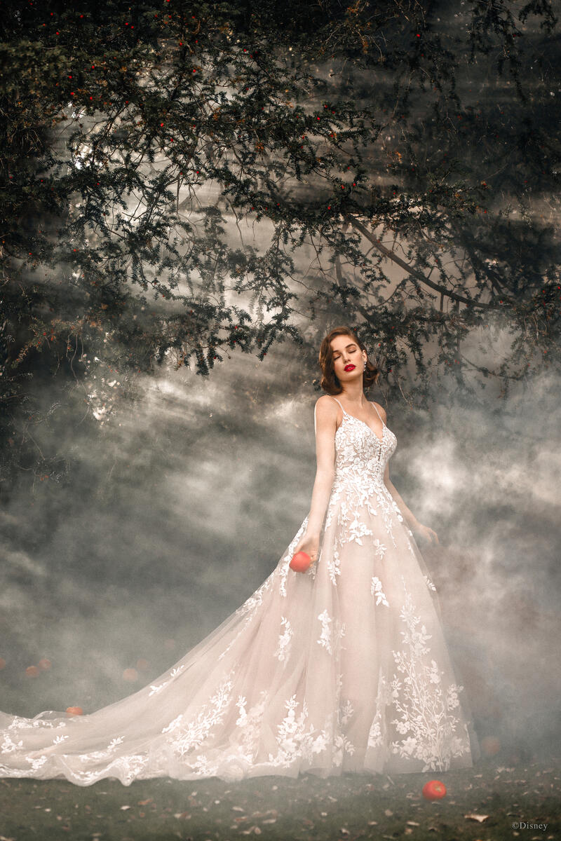 Disney Fairy Tale Weddings Style Number D287 - 8