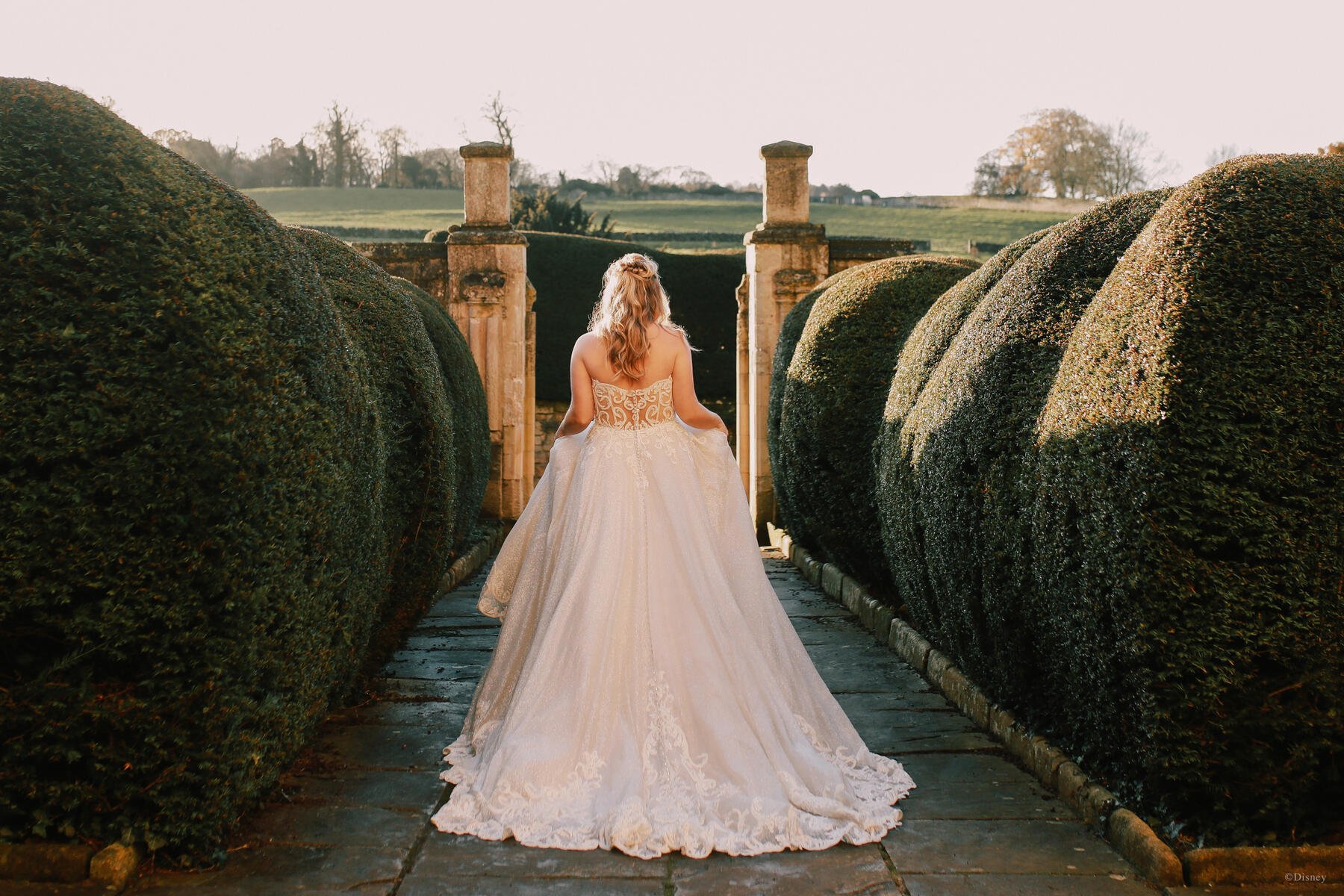 Disney Fairy Tale Weddings Style Number D293 - 19
