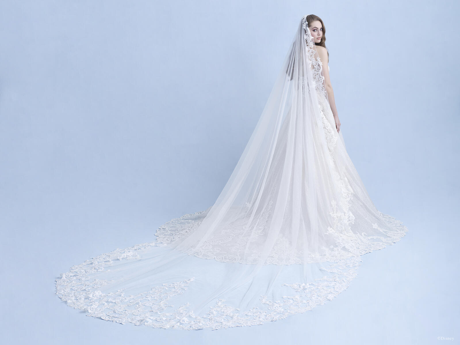 Disney Fairy Tale Weddings Style Number D293 - 18