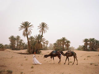 Wilderly Bride Style Number F139 - 19