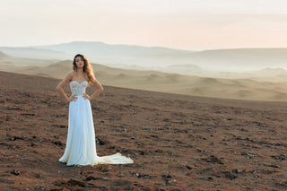 Wilderly Bride Style Number F343L - 7