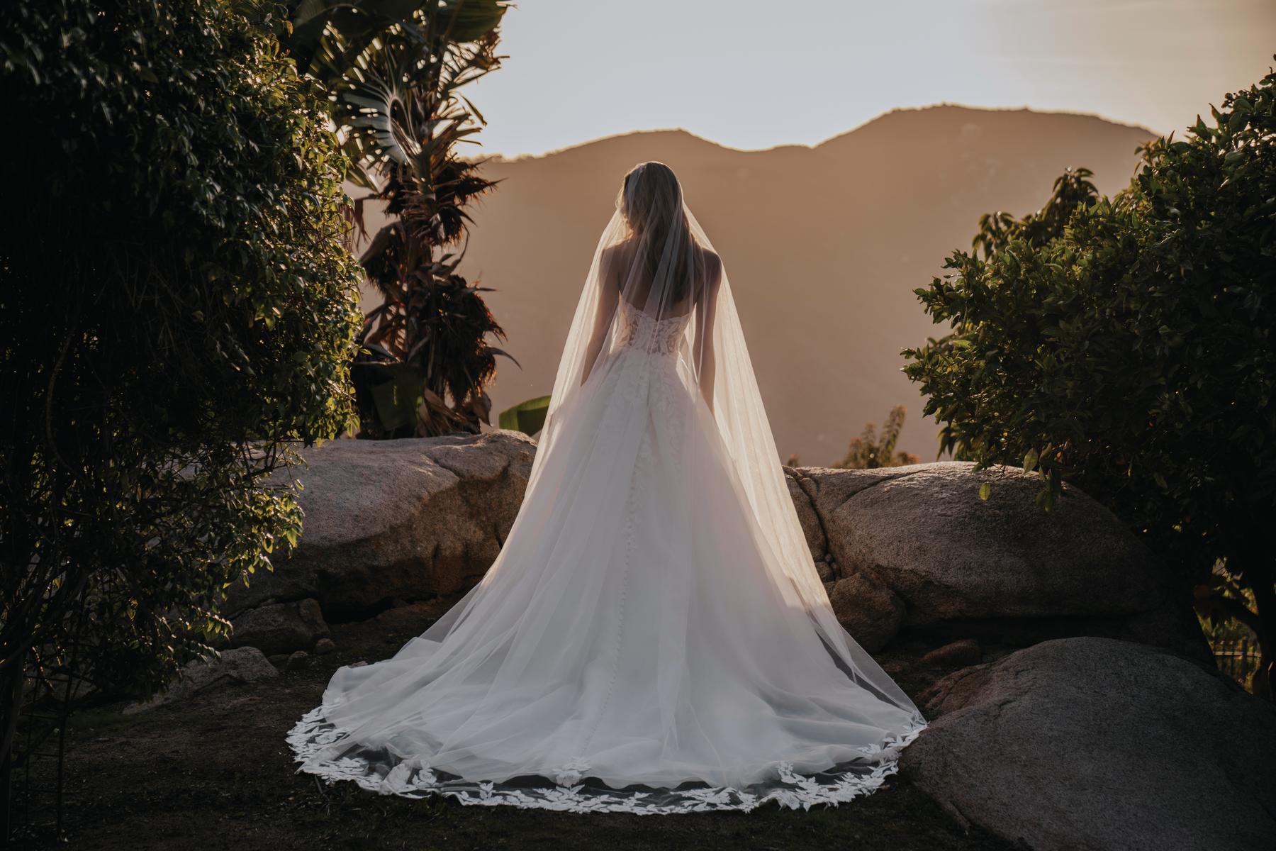Allure Bridal Style Number A1164L - 6