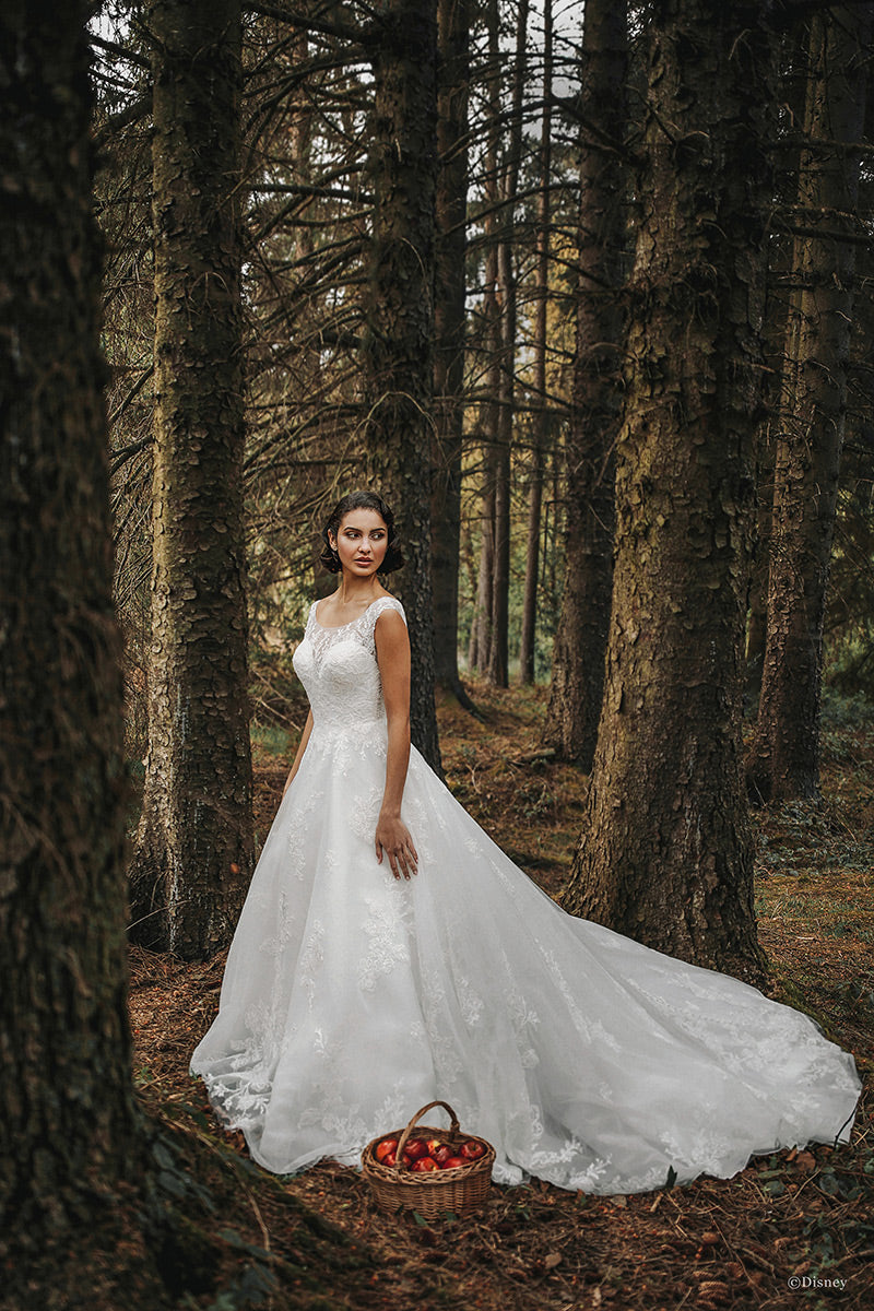 Disney Fairy Tale Weddings Style Number D267 - 3