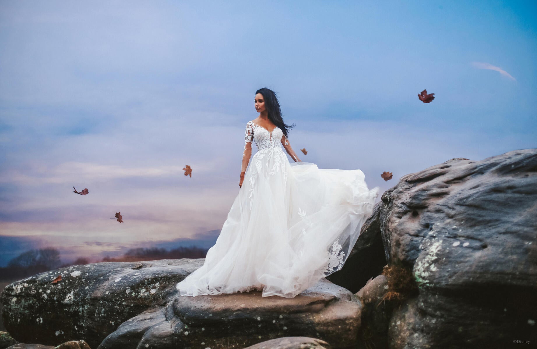Disney Fairy Tale Weddings Style Number D285 - 7