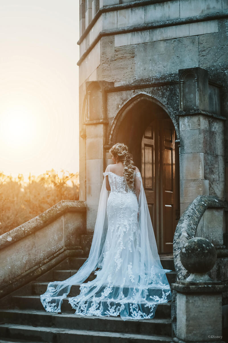 Disney Fairy Tale Weddings Style Number D286 - 10