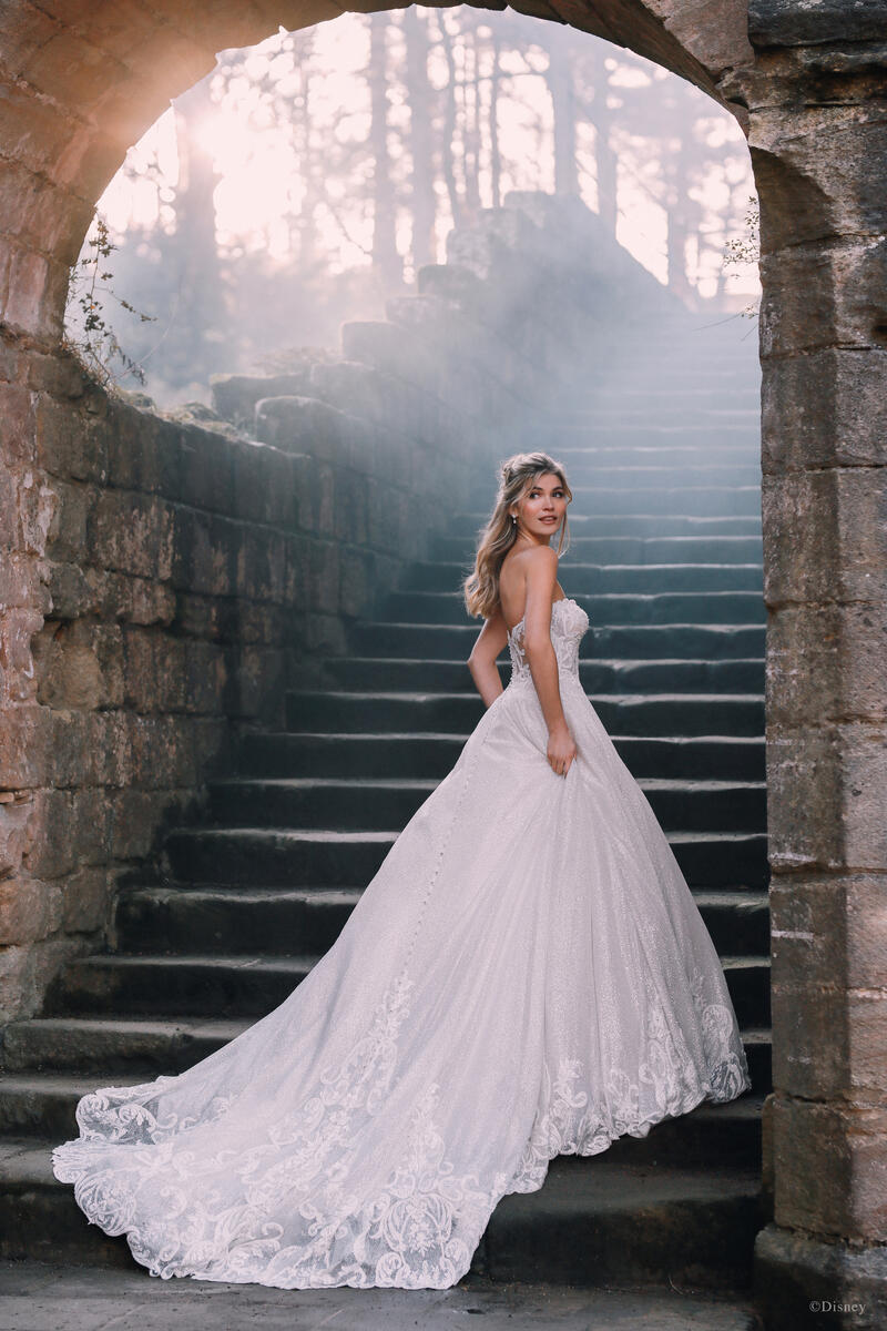 Disney Fairy Tale Weddings Style Number D293 - 15