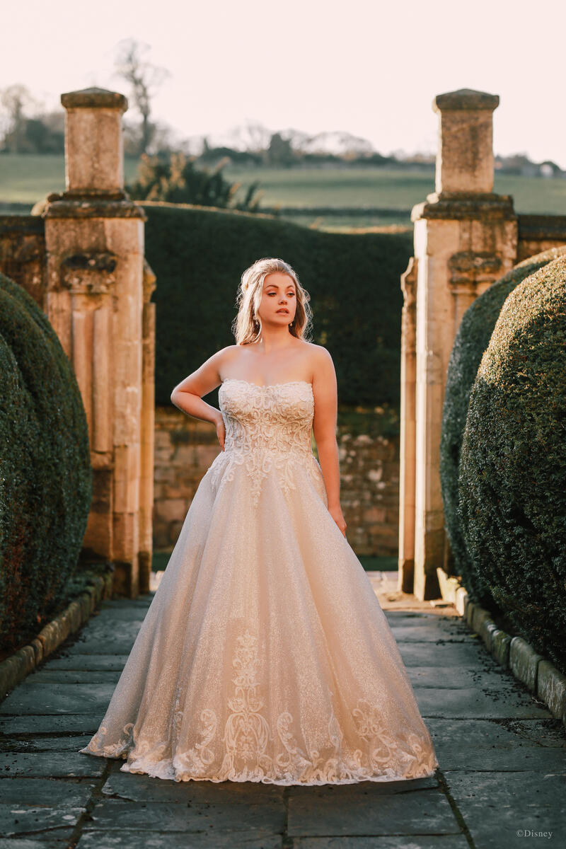 Disney Fairy Tale Weddings Style Number D293 - 6