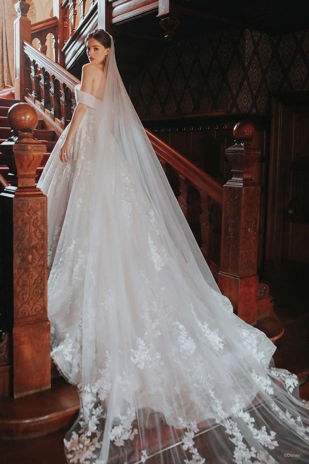 Disney Fairy Tale Weddings Style Number DV15 - 2