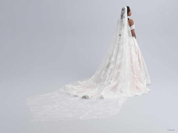 Disney Fairy Tale Weddings Style Number DV16 - 2
