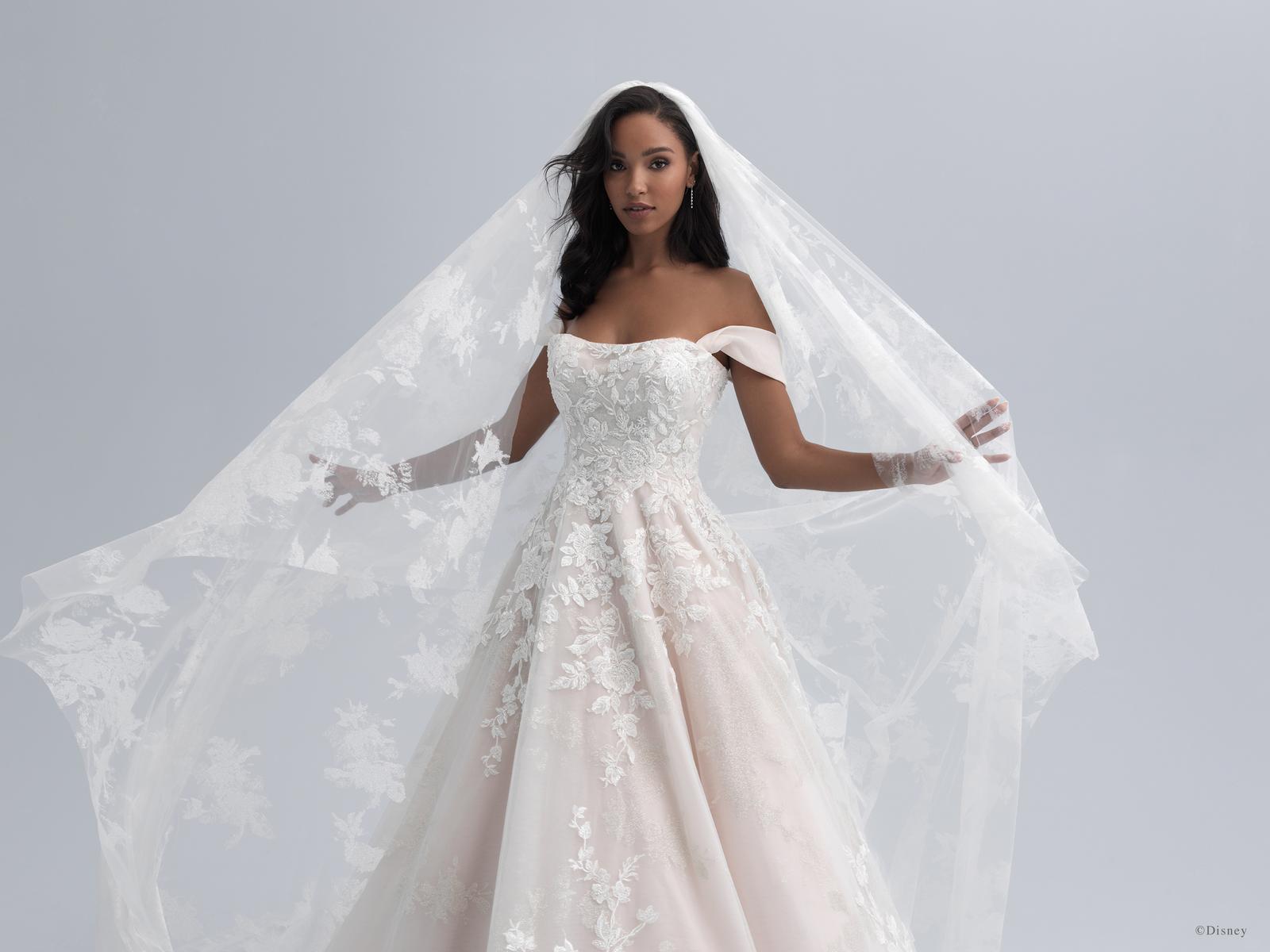 Disney Fairy Tale Weddings Style Number DV16 - 1