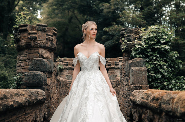 Disney Fairy Tale Weddings Style Number DV17 - 2