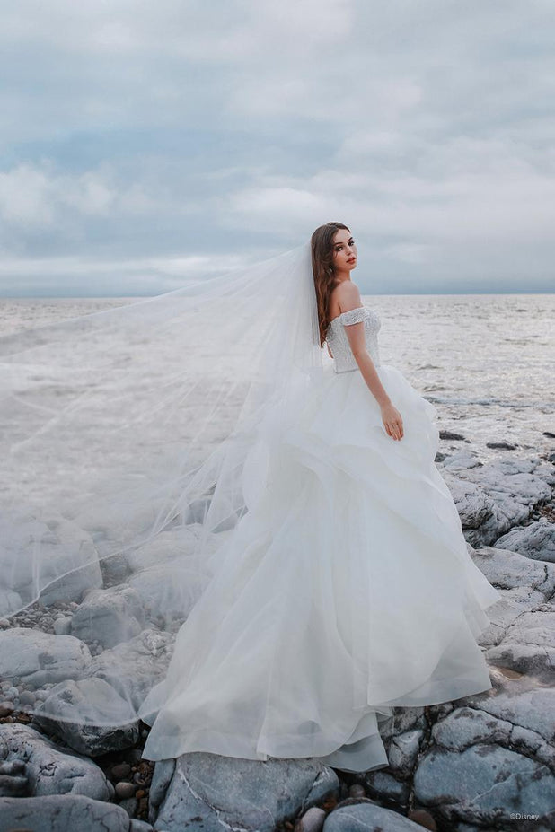 Disney Fairy Tale Weddings Style Number DV22 - 2