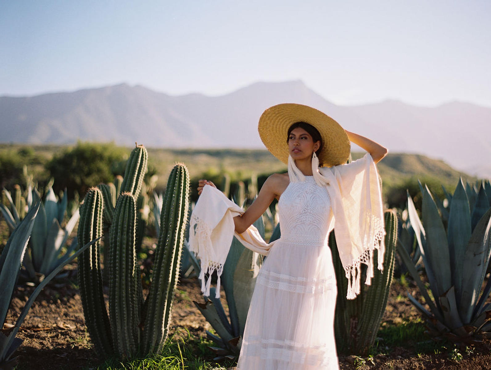 Wilderly Bride Style Number F154 - 16