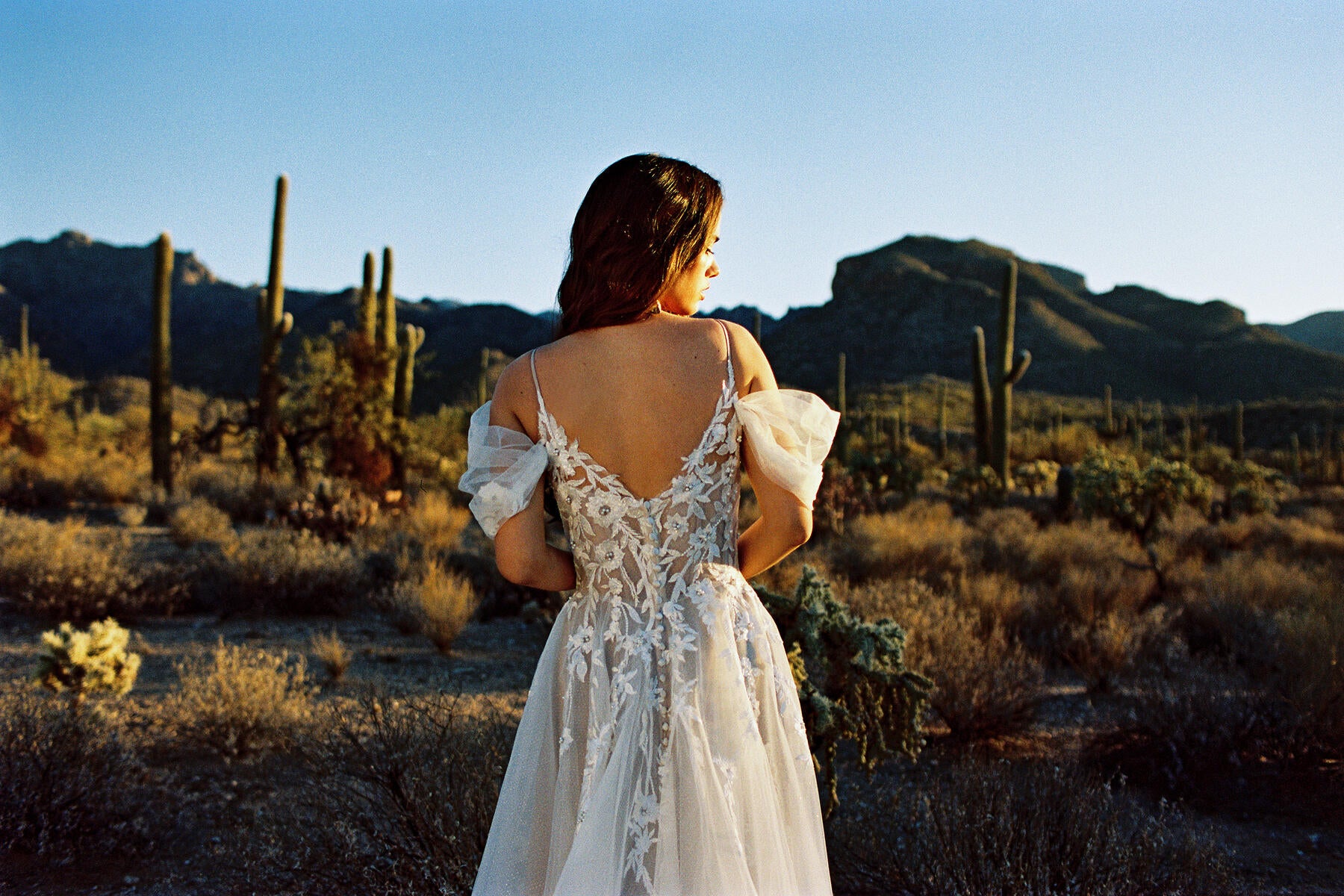 Wilderly Bride Style Number F233 - 9