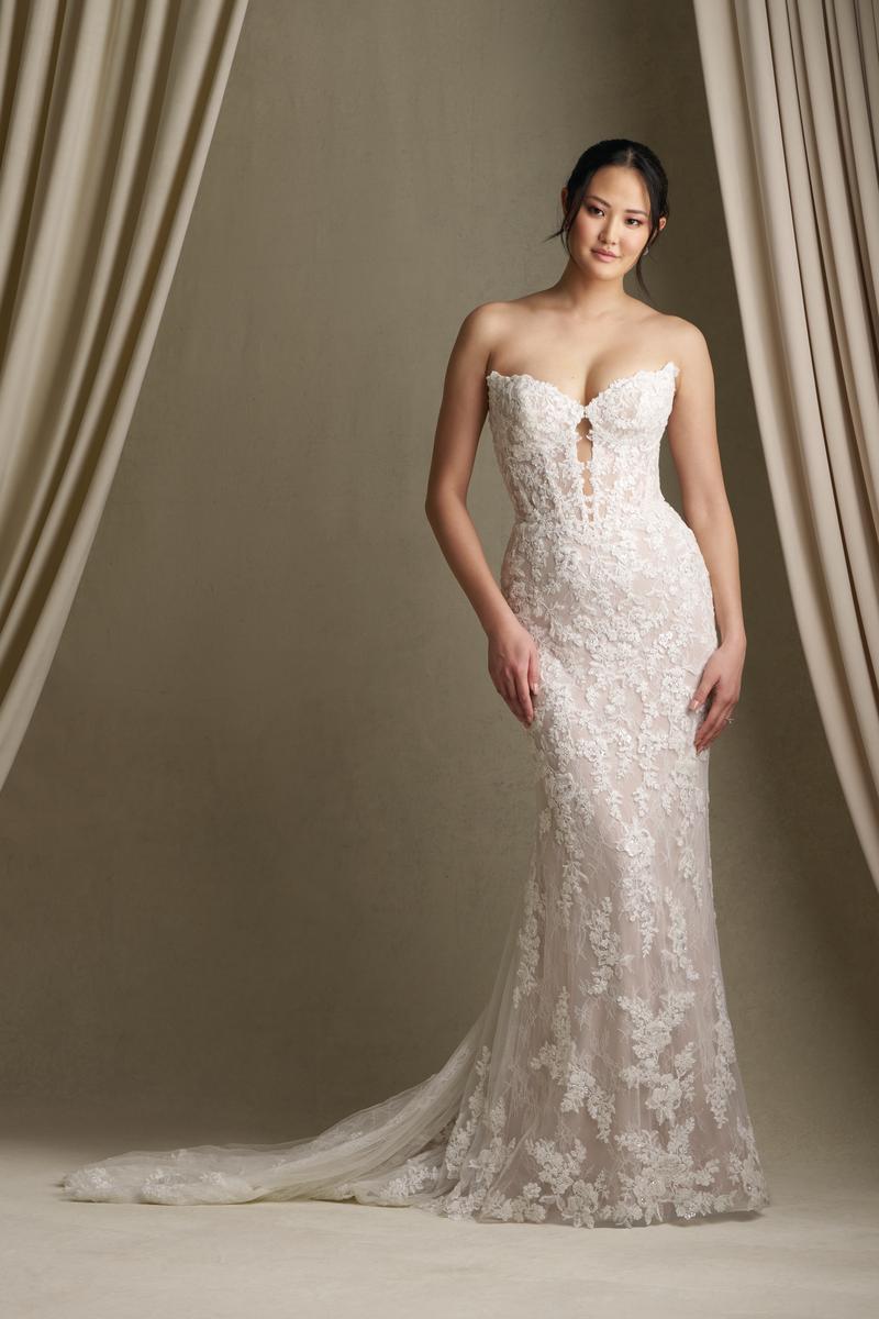 Allure Couture Style Number C801 - 5