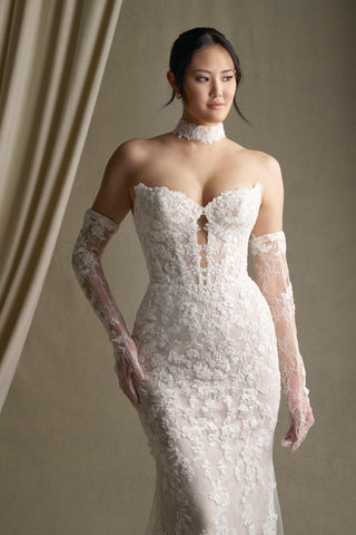 Allure Couture Style Number C801 - 6