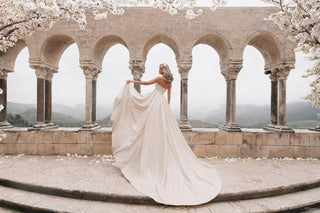 Disney Fairy Tale Weddings Style Number D431A - 11