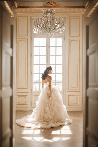 Disney Fairy Tale Weddings Style Number DP422 - 2