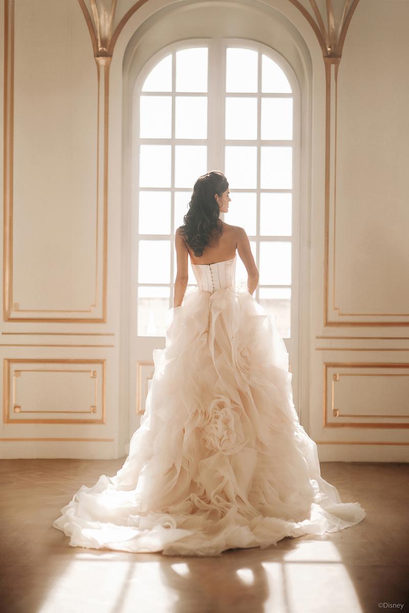 Disney Fairy Tale Weddings Style Number DP422 - 9