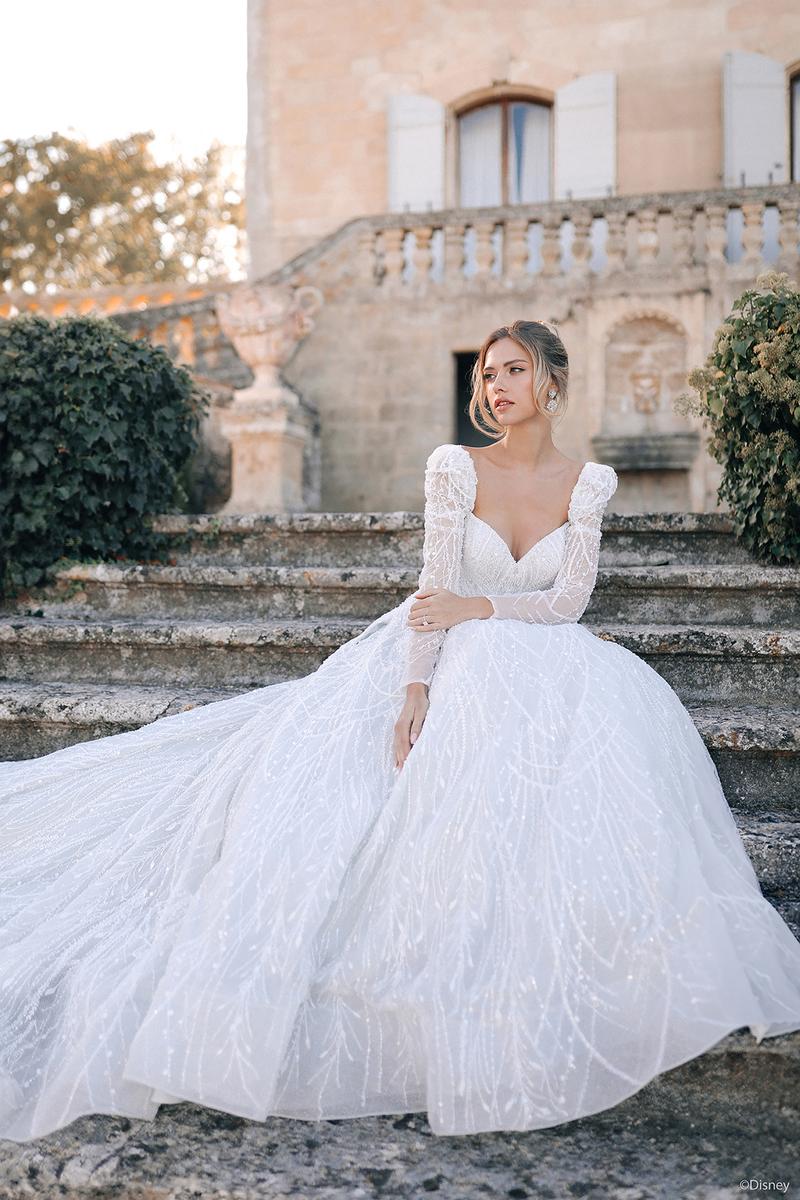 Disney Fairy Tale Weddings Style Number DP423 - 1