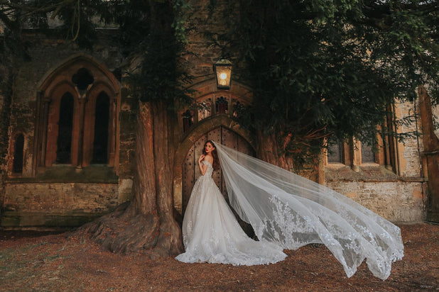 Disney Fairy Tale Weddings Style Number DV20 - 2