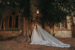 Disney Fairy Tale Weddings Style Number DV20 - 1