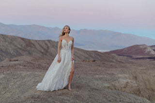 Wilderly Bride Style Number F380LNS - 10