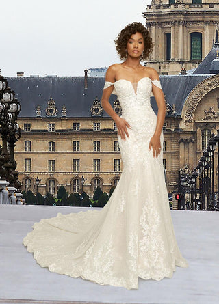 Ashley and Justin Bride Style Number 11920D - 1