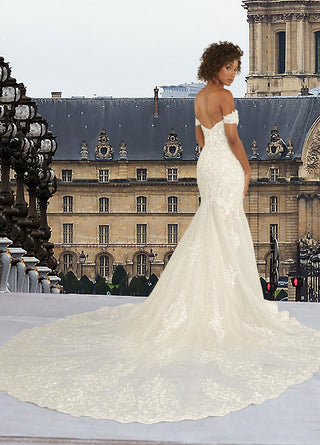 Ashley and Justin Bride Style Number 11920D - 2