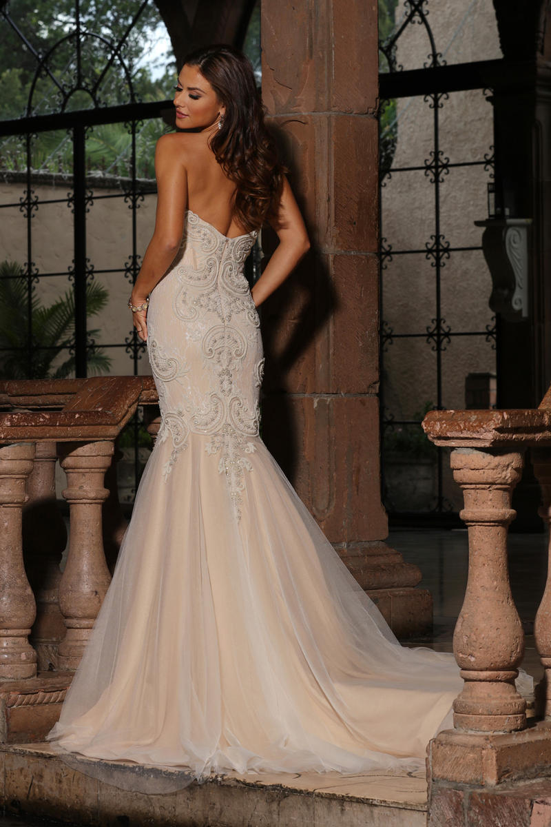 Cristiano Lucci Style Number 13069 - 2