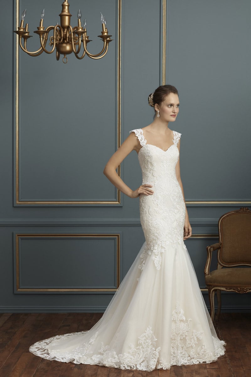 Amare Style Number C120 - 1