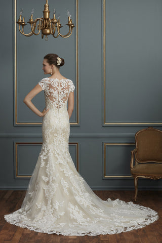 Amare Style Number C124 - 2