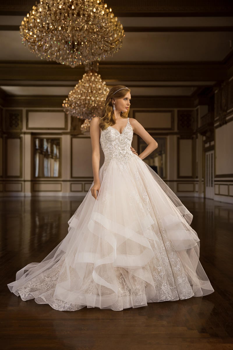 Amare Style Number C146 - 1