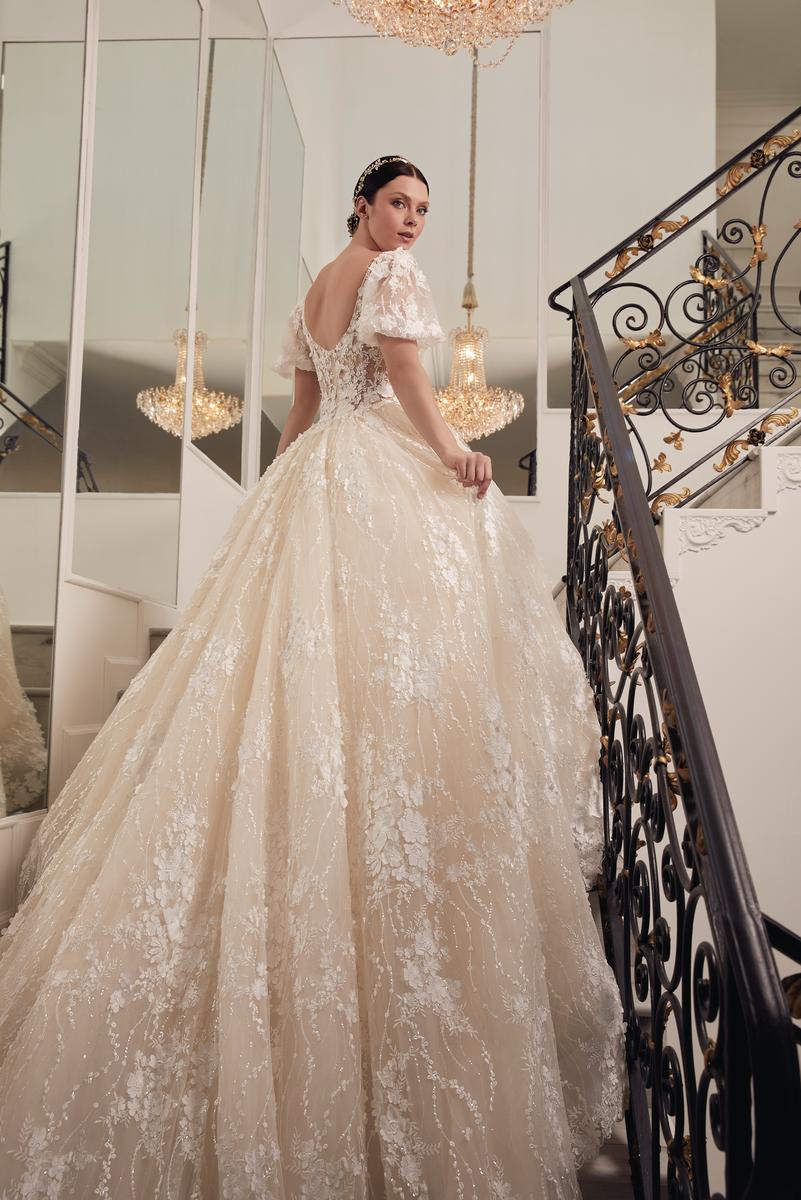 Amare Style Number C168 - 4